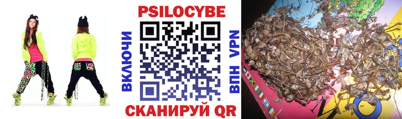 Галлюциногенные грибы MAGIC MUSHROOMS ссылка на мегу ТОР Агрыз как найти наркотики